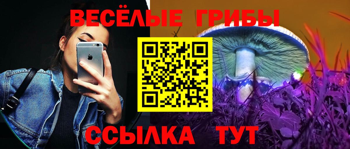 Псилоцибиновые грибы MAGIC MUSHROOMS  Вход с VPN  дарнет шоп  Казань 